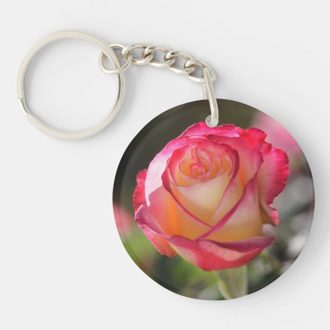 Rose Double Delight (Devant)