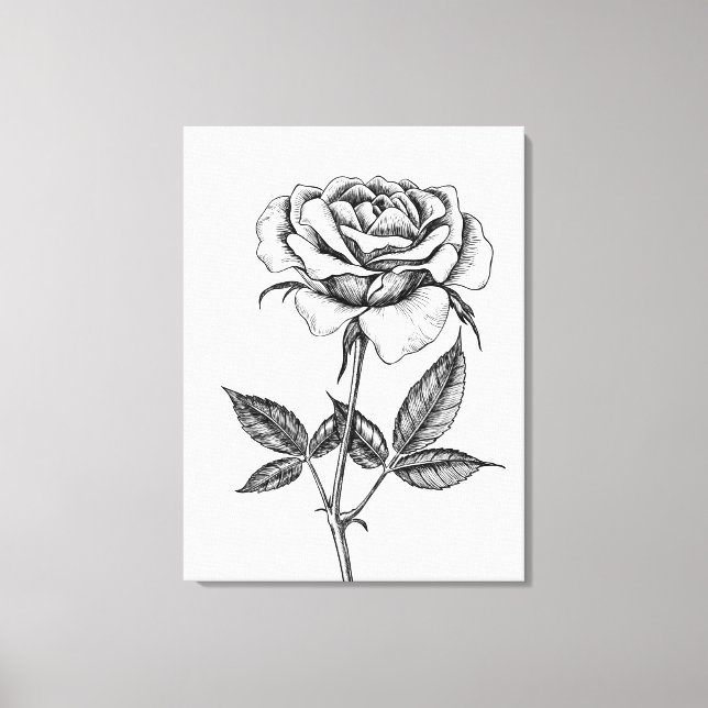 Rose drawing canvas print (Front)