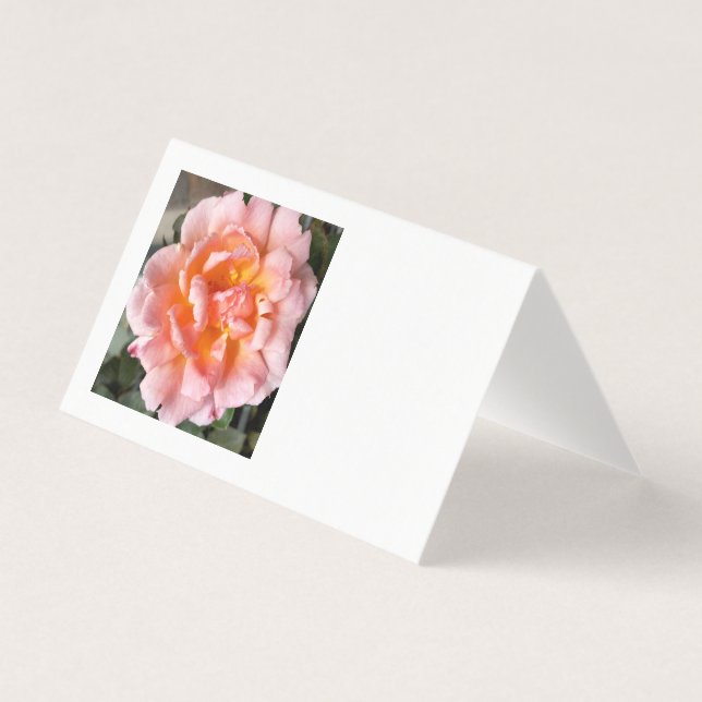 rose en automne (Front)