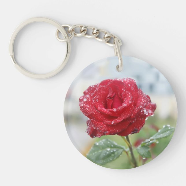 Rose en gouttes de pluie (Devant)