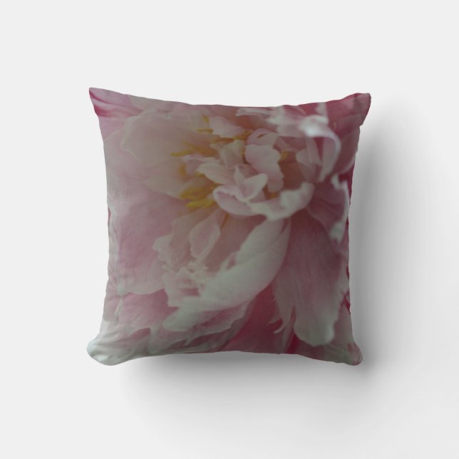 Rose et coussin pelucheux (Recto)