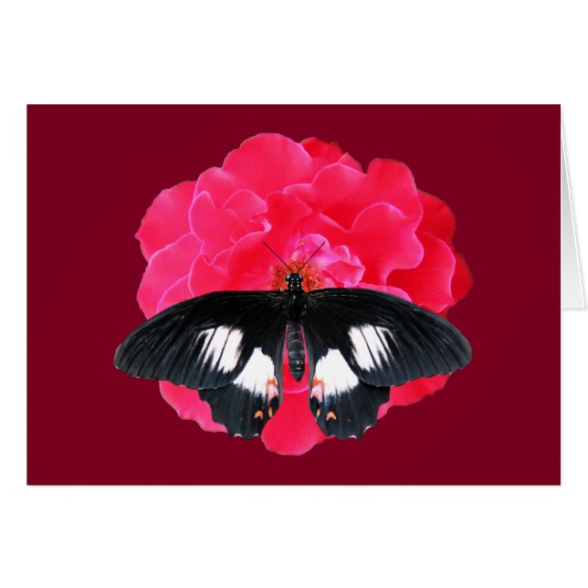 Rose et Swallowtail (Devant Horizontal)