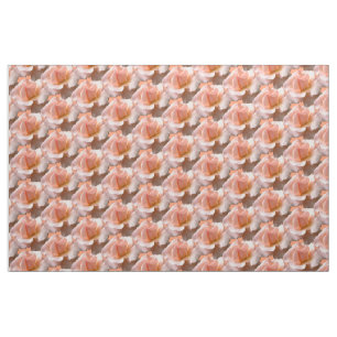Rose Fabric Peach Wild Rose Fabric Customize
