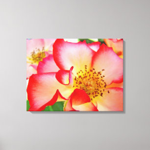 Rose Floral Garden Canvas Photography prints
