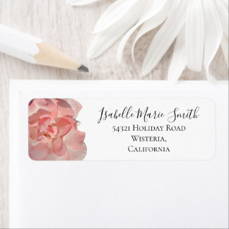 Rose florale corail chic rose retour adresse blanc