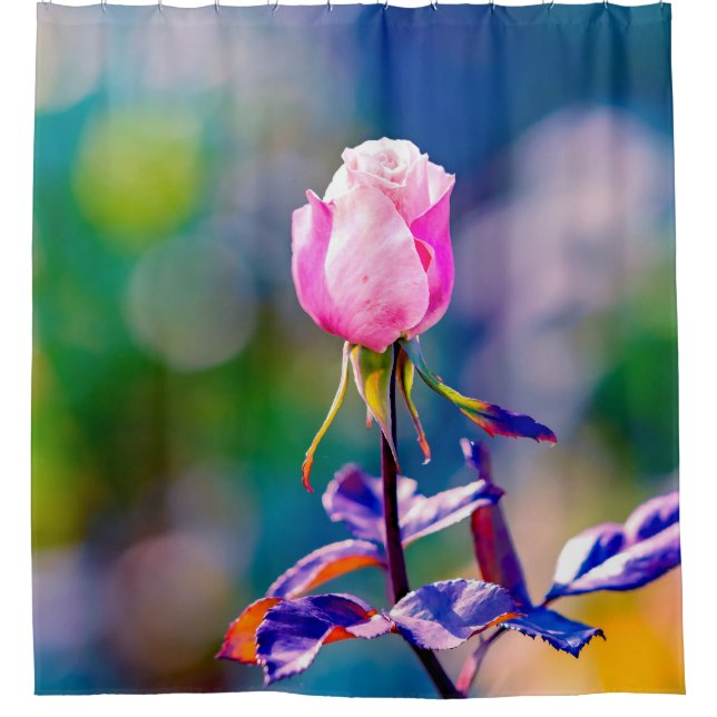 Rose Flower - Beauty (Front)