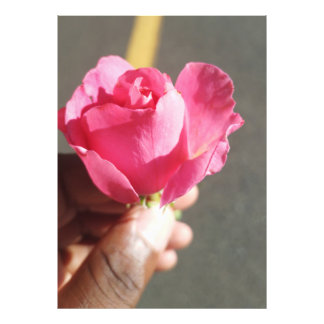 Rose Flower Photo Enlargement