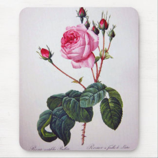 Rose flower, Pierre Joseph Redouté Mouse Pad
