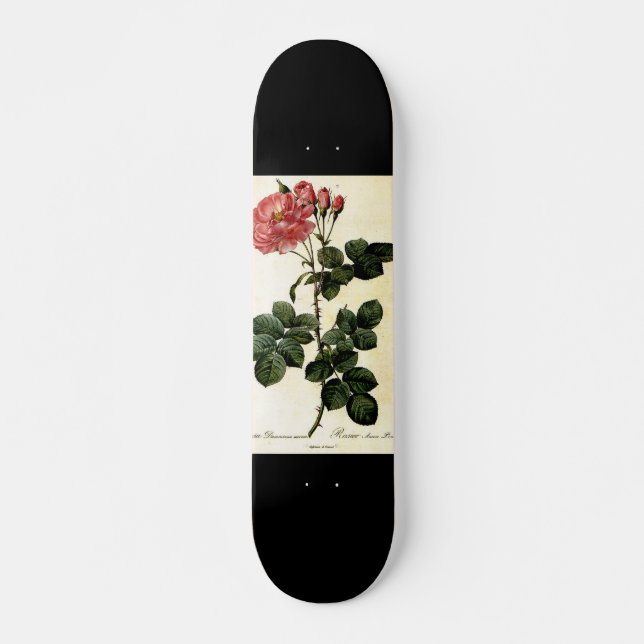 Rose flower, Pierre Joseph Redouté Skateboard (Front)