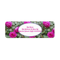 Rose Flower Pink Floral Vintage Roses Art Return A