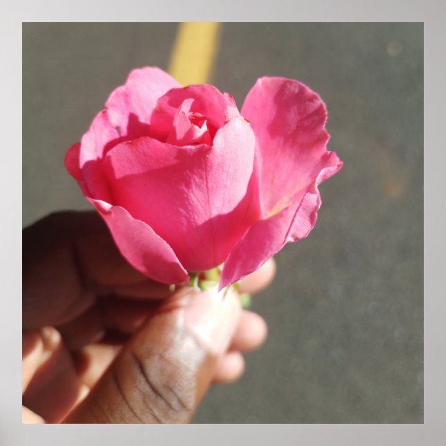 Rose Flower Poster (Front)