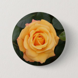 rose flowers flower  love wife sweetheart couple 2 inch round button