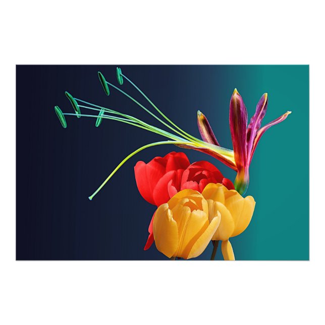 Rose Flowers Photo Print (Front)