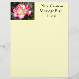 Rose Flyer Template Pink White Rose Yellow Flyer
