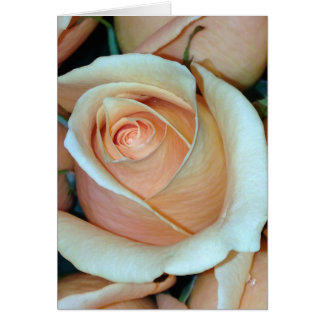 Rose Frameable All Occassion Card 5x7