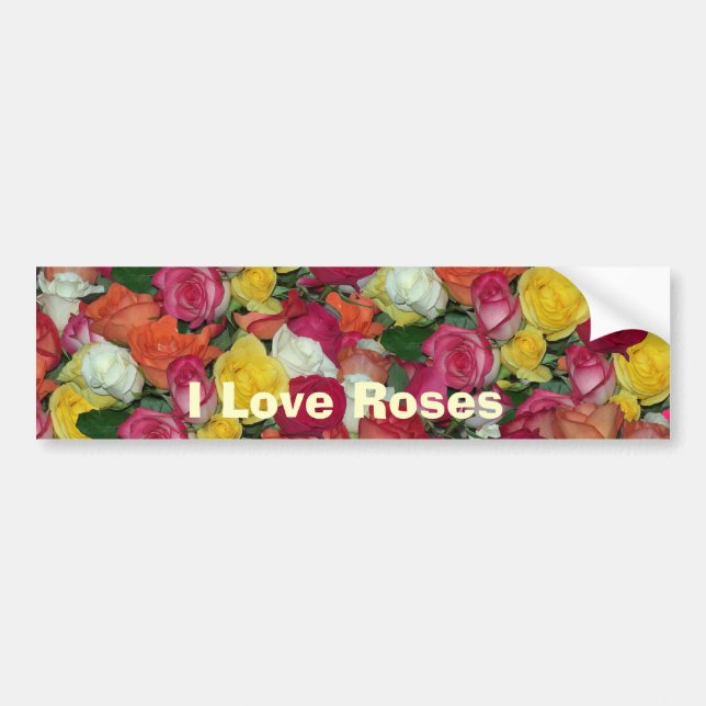 rose galore bumper sticker (Front)