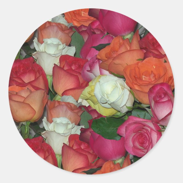 rose galore classic round sticker (Front)