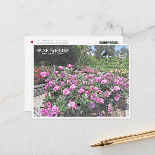 Rose Garden (Nagai Botanical Garden) Postcard (Front/Back In Situ)