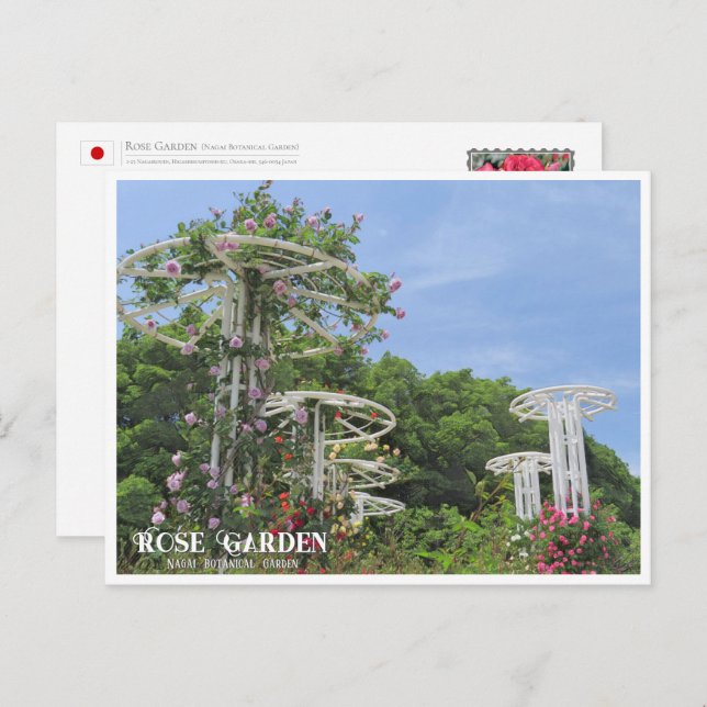 Rose Garden (Nagai Botanical Garden) Postcard (Front/Back)