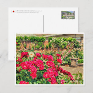 Rose Garden Postcard
