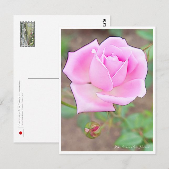 Rose Garden Postcard (Front/Back)