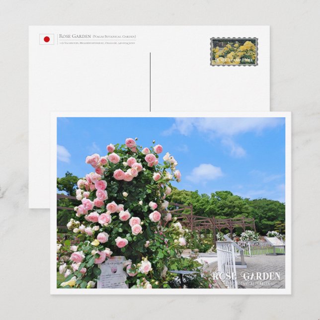 Rose Garden Postcard (Front/Back)