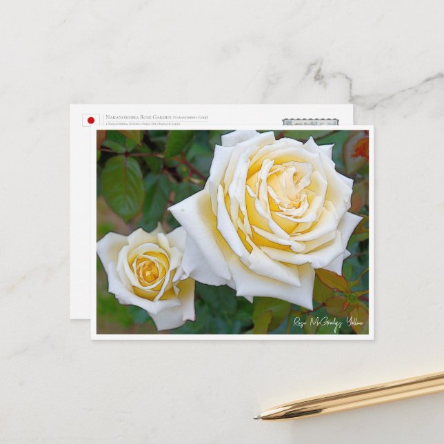 Rose Garden Postcard (Front/Back In Situ)