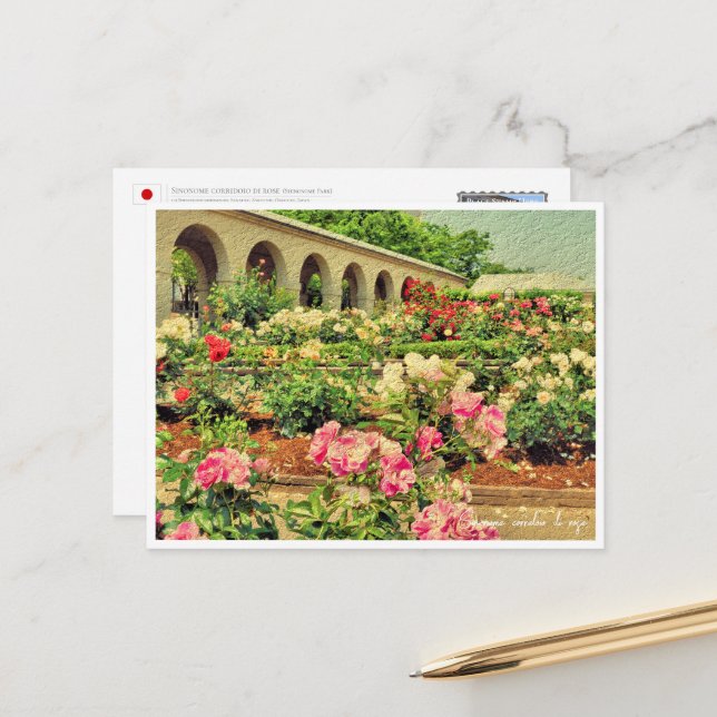 Rose Garden Postcard (Front/Back In Situ)