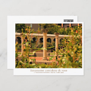 Rose Garden Scenery Postcard
