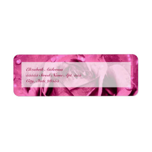 Rose Girly élégant de rose