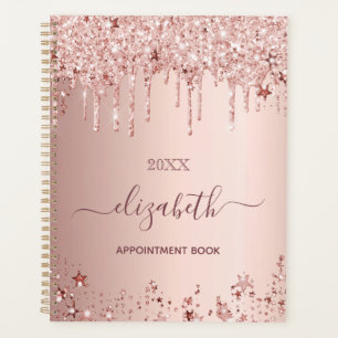 Rose gold pink stars 2025 planner