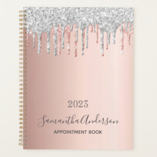 Rose gold silver glitter appointment book planner