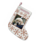 Rose Gold Snowflake Fun Kids Or Pets Photo