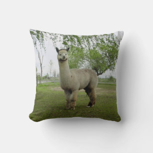 Rose Grey Alpaca Throw Pillow