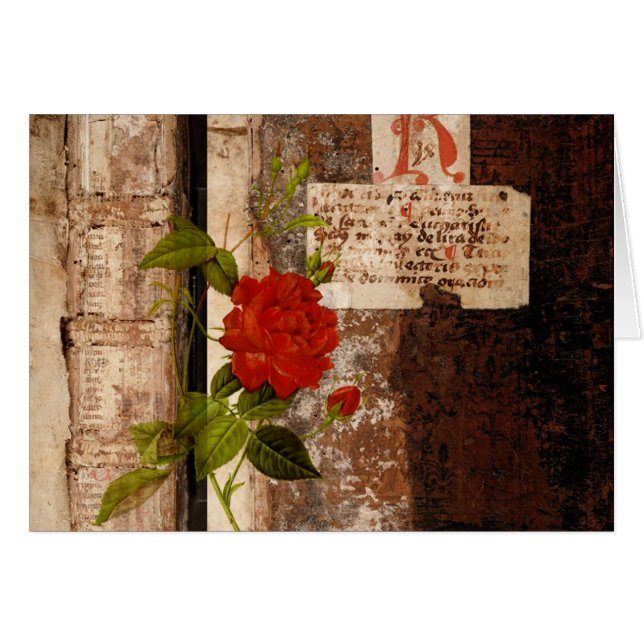 Rose Grunge (Front Horizontal)