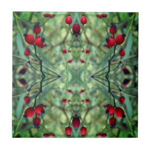 Rose hip Abstract Photography Photo Tile
