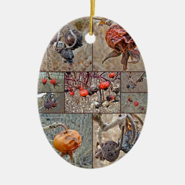 Rose Hip Collage Ceramic Ornament (Front)