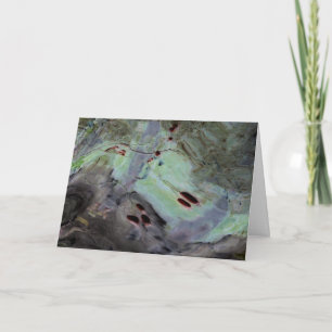 "Rose Hips" Abstract Edited Reflection in Mylar Card