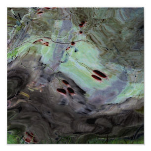 "Rose Hips" Abstract Edited Reflection in Mylar Photo Print