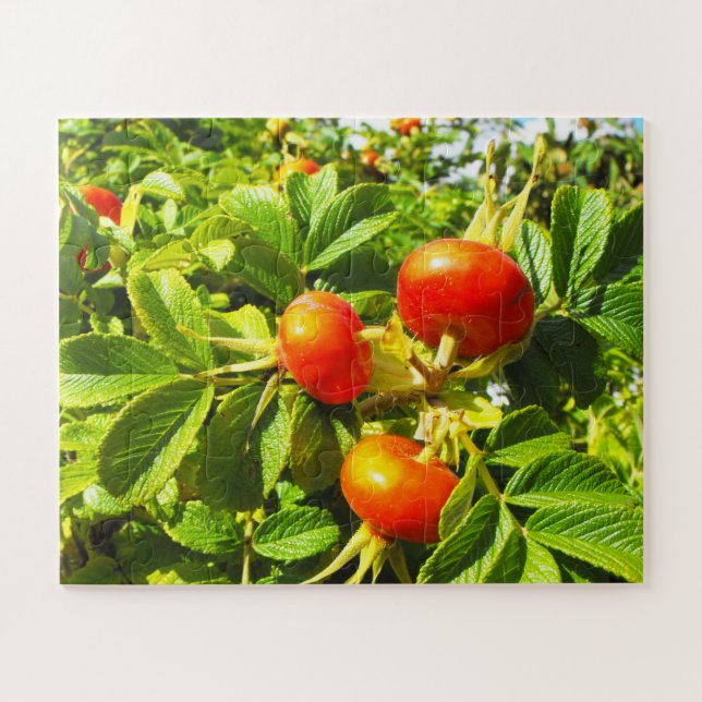 Rose hips jigsaw puzzle (Horizontal)