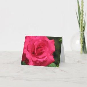 Rose Holiday Card