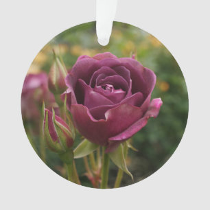 Rose Iceberg Bourgogne #1 Ornement