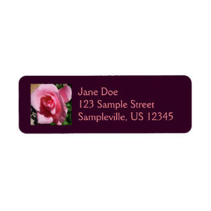 Rose III Jardin Floral