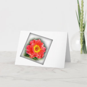 Rose in autumn card