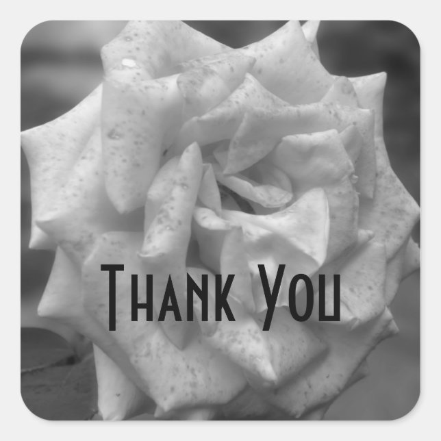 Rose In Black And White Flower Thank You Square Sticker (Front)