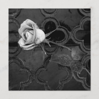 Rose in black-and-white sympathy card