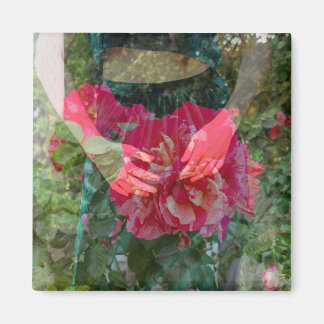 Rose in Bloom Magnet