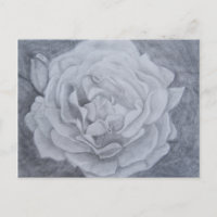 Rose in Graphite