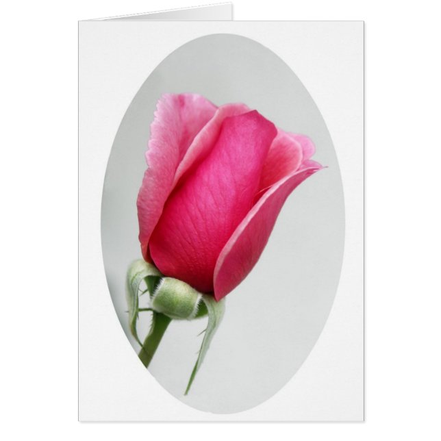 Rose in Oval (Front)