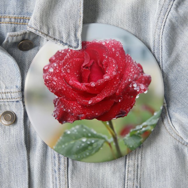 Rose in raindrops  6 inch round button (In Situ)